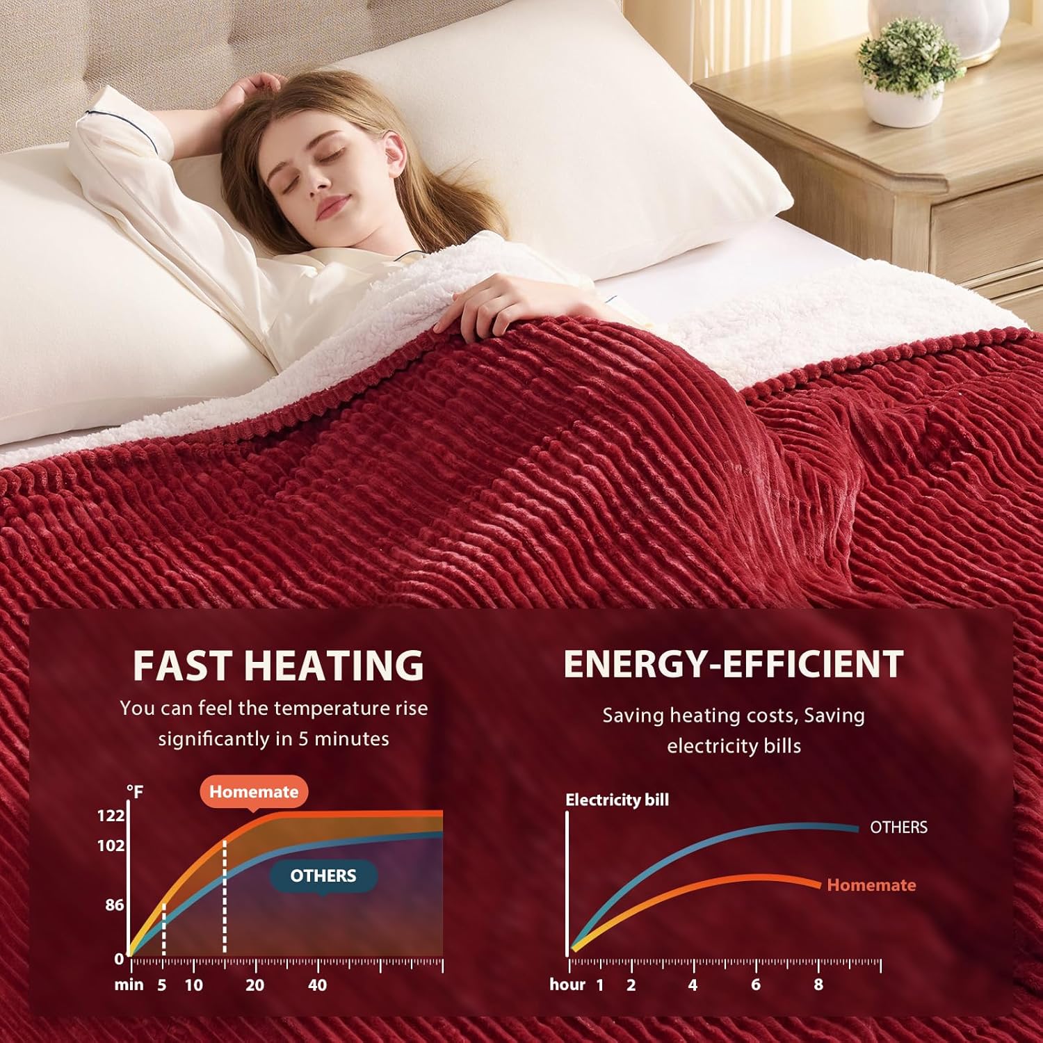 Homemate Striped Heated Blanket